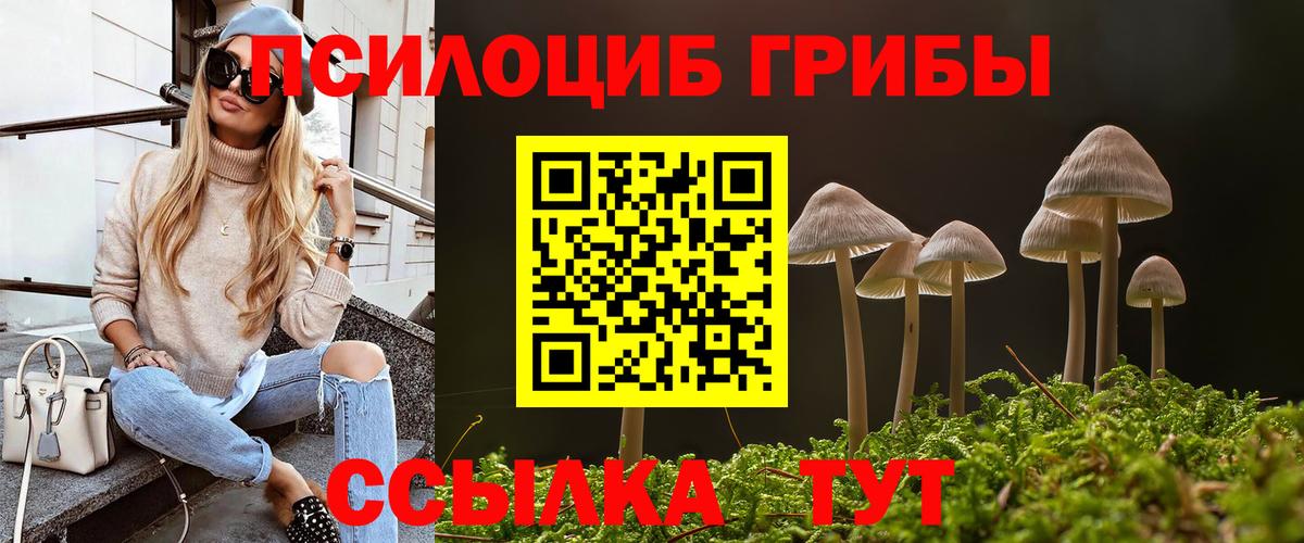 Псилоцибиновые грибы MAGIC MUSHROOMS Кандалакша