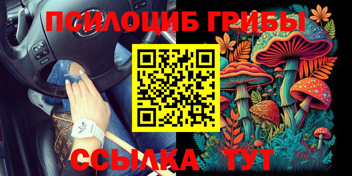 где купить наркотик  Псилоцибиновые грибы ЛСД  Кандалакша  Вход с VPN  Галлюциногенные грибы MAGIC MUSHROOMS 